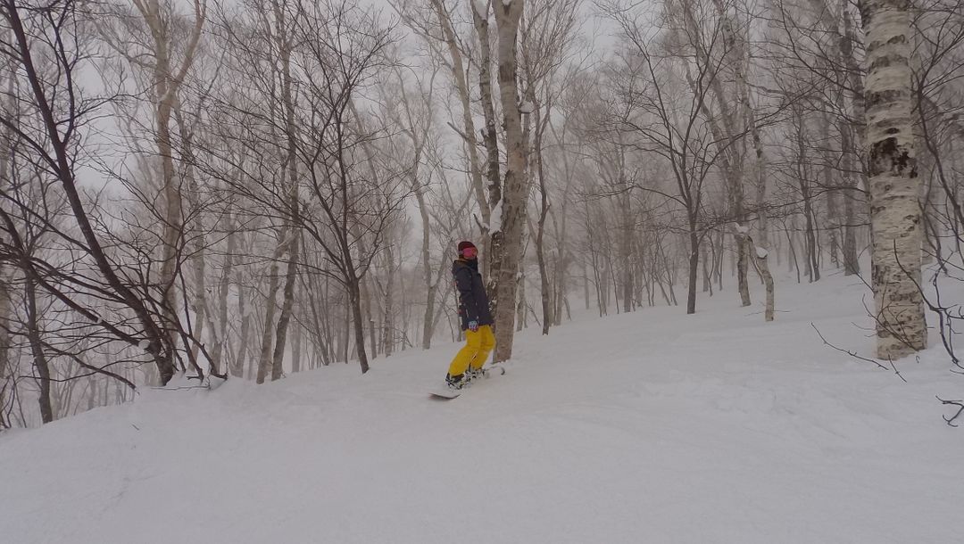 享受日本新潟森林的冬日粉雪！神樂滑雪場(Kagura かぐら)自助滑雪攻略！ @。CJ夫人。