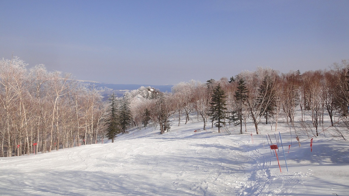 規畫一趟日本自助滑雪行程應該注意的事－滑雪票/滑雪教練/課程挑選技巧篇 @。CJ夫人。