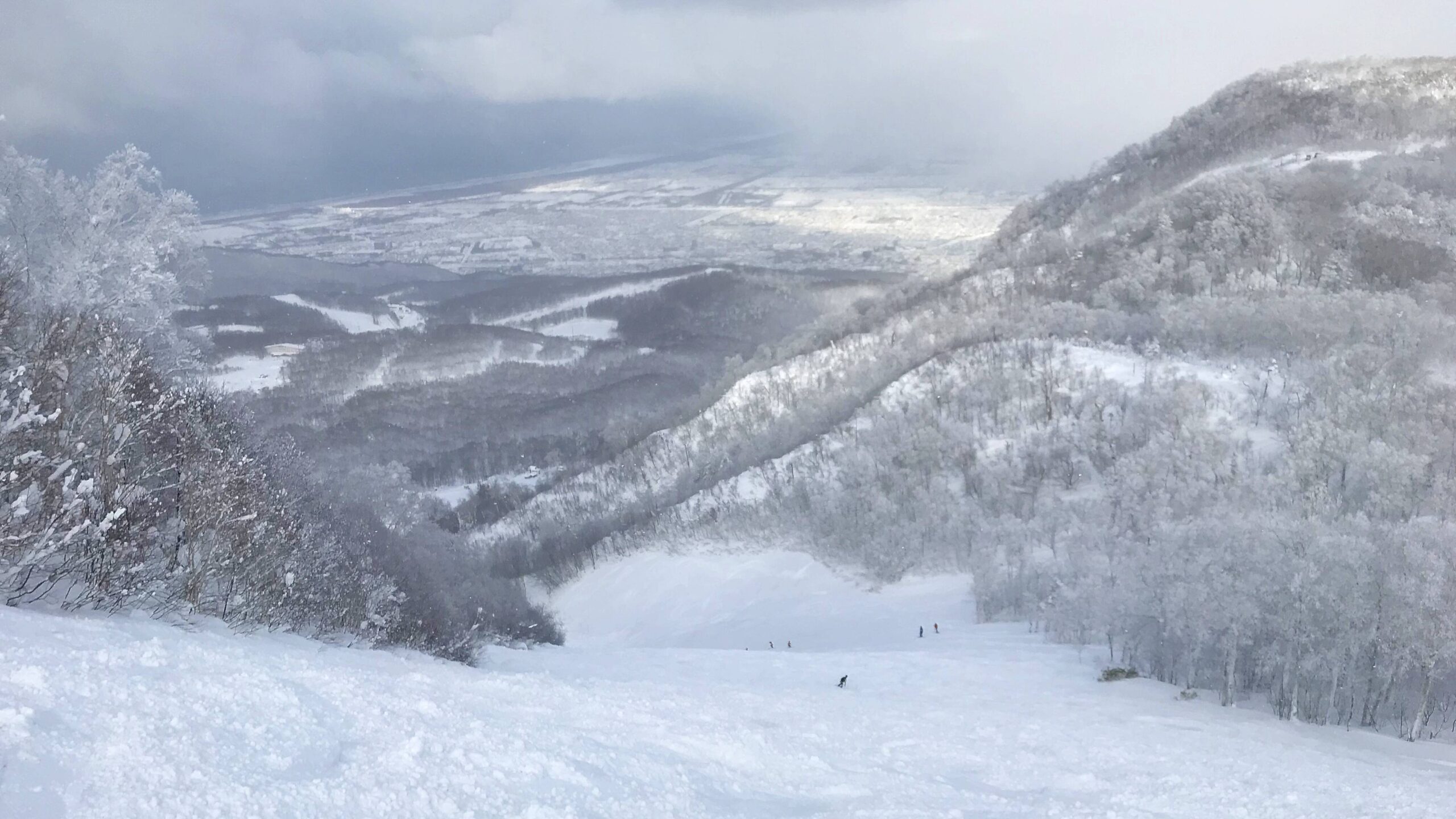 第一次日本自助滑雪，有沒有推薦滑雪初學新手友善的滑雪場區域與出發月份呢？ @。CJ夫人。