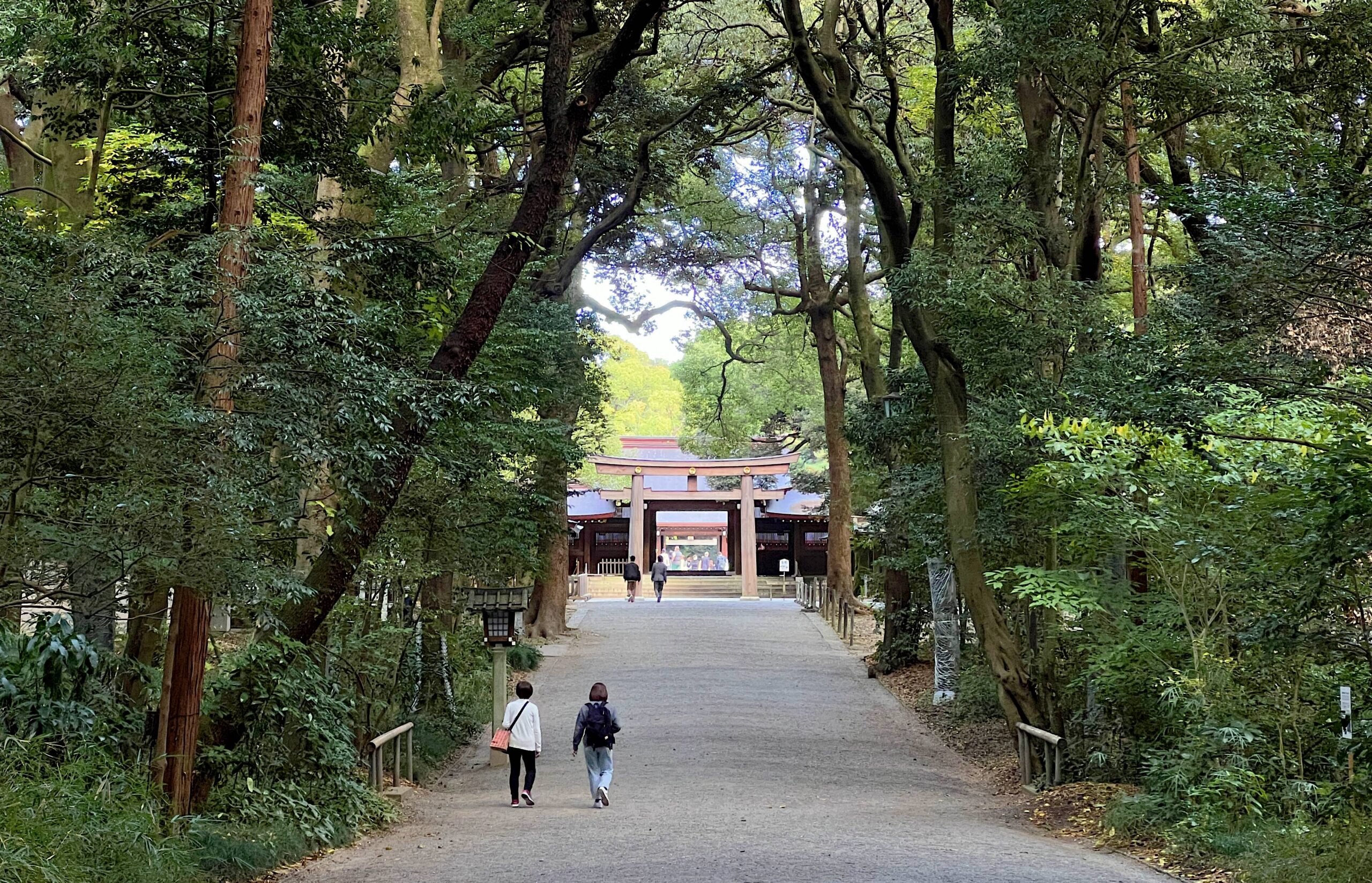 東京新宿前往富士山的河口湖冒險：河口湖周遊巴士、自然生活館、天上山公園纜車、もみじ亭烏龍冷麵 @。CJ夫人。