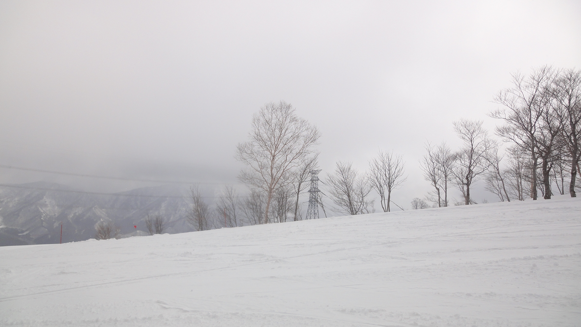 日本第一次滑雪的心情紀錄 滑雪第三天自由練習落葉飄｜挖屋！我會滑了！？ @。CJ夫人。