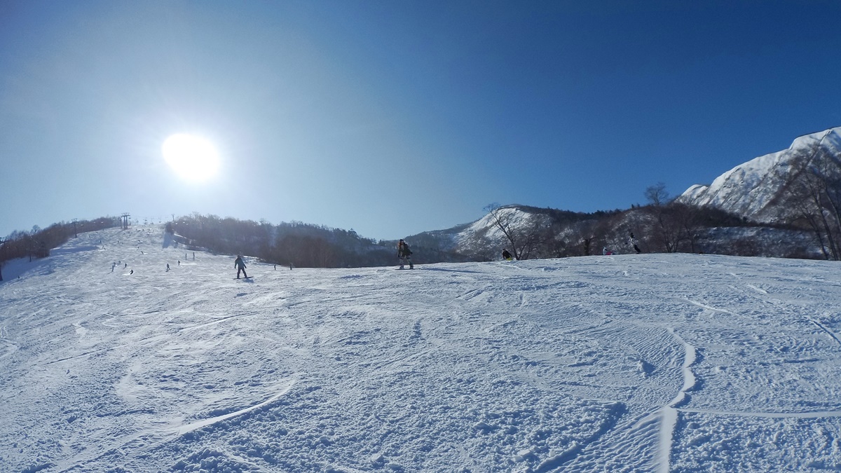 日本第一次滑雪的心情紀錄 滑雪第七~九天進入無限撞牆期｜找到撐下去的秘訣 @。CJ夫人。