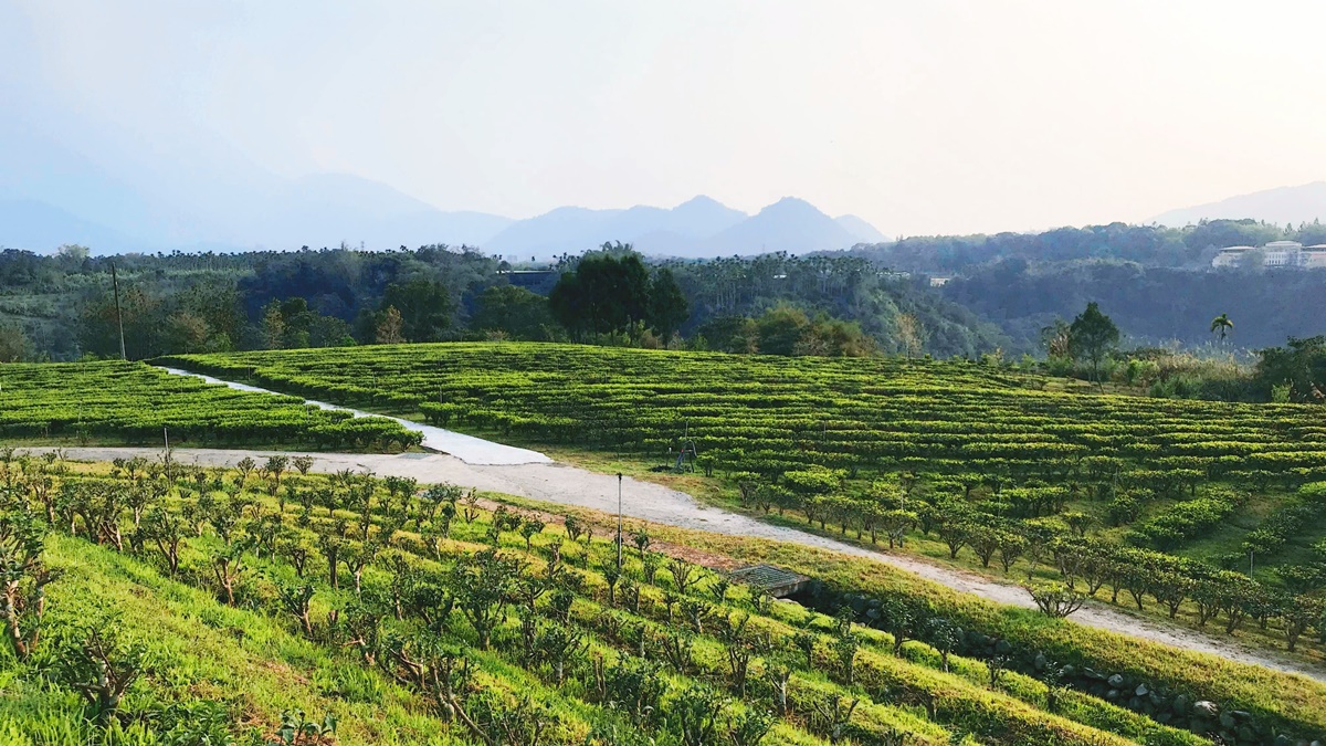 Two Days Trip in Central Taiwan: Exploring Nantou Sun Moon Lake Black Tea Town－ Yuchi @。CJ夫人。