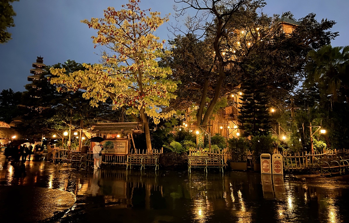 意外看見夢想國度特浪漫的美！捕捉下雨天裡的日本東京迪士尼樂園 @。CJ夫人。