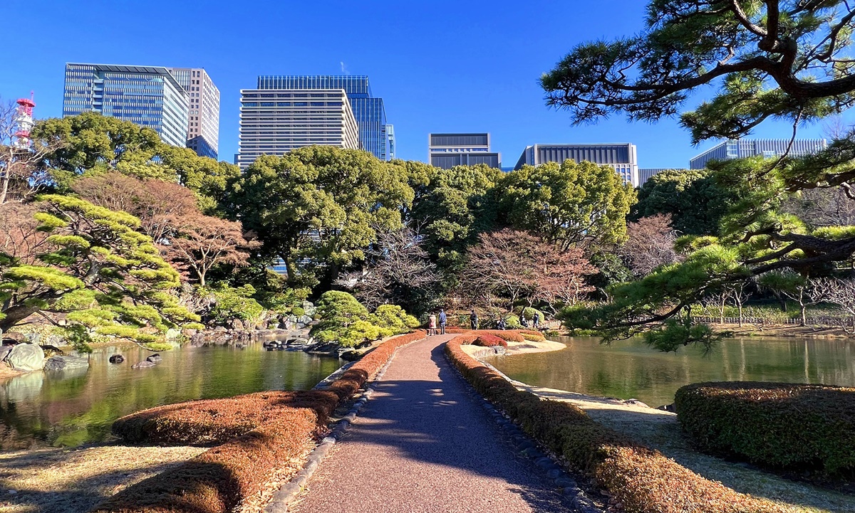 東京晨之美！蒐集樸實在地日常的城市公園，隨手都能捕捉東京人生活放鬆那一面。 @。CJ夫人。