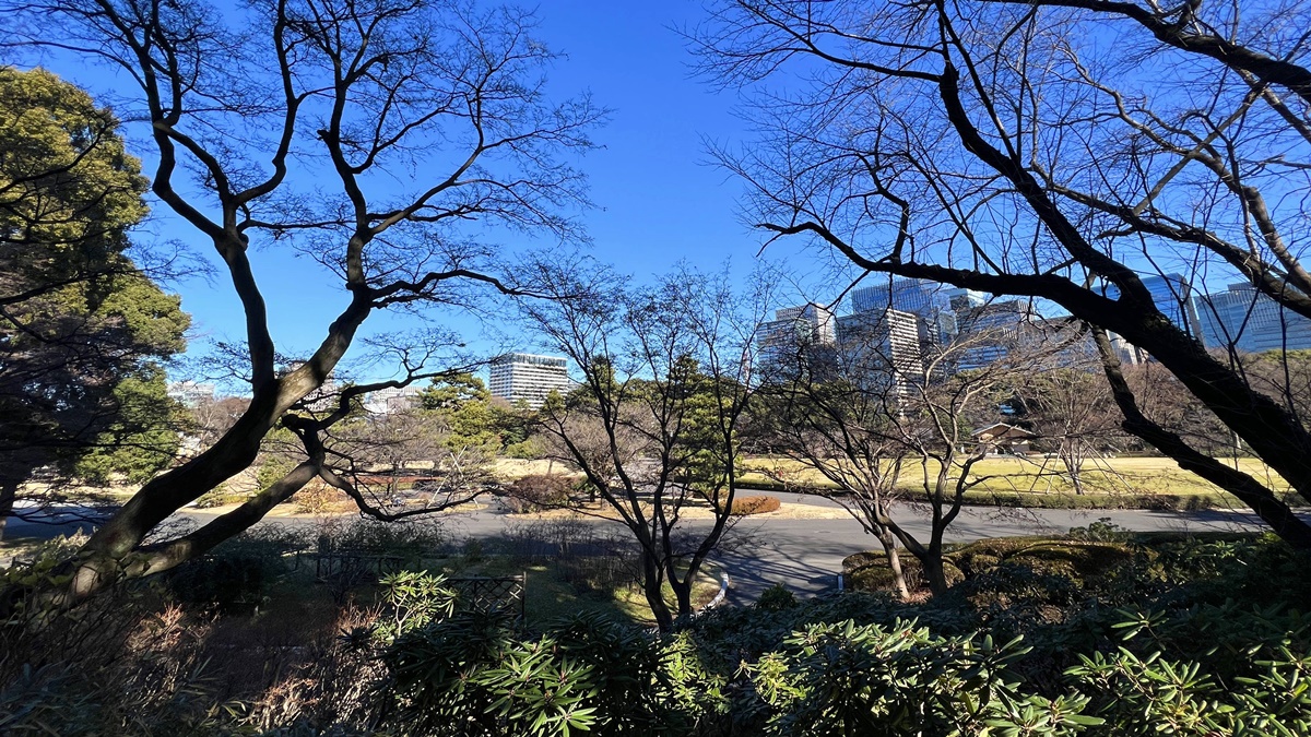 發現東京早晨之美，就從漫步昔日江戶城主的御花園－皇居東御苑逛起！無料免費入場、無須預約 @。CJ夫人。