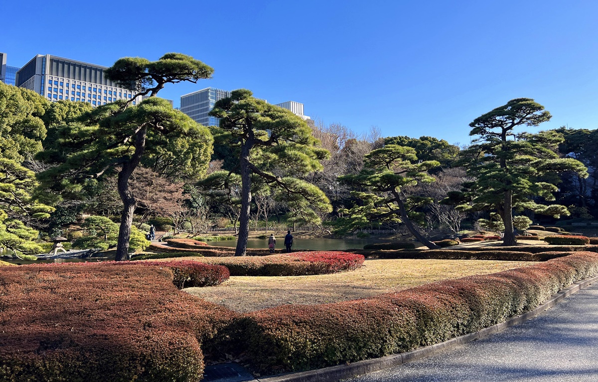 發現東京早晨之美，就從漫步昔日江戶城主的御花園－皇居東御苑逛起！無料免費入場、無須預約 @。CJ夫人。