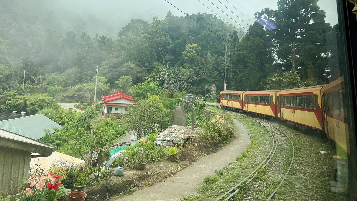 我買了一張阿里山小火車票。紀錄那天阿里山森林鐵道獻給世界的老派浪漫！台灣嘉義阿里山林業鐵路蒸汽火車一日旅行 @。CJ夫人。