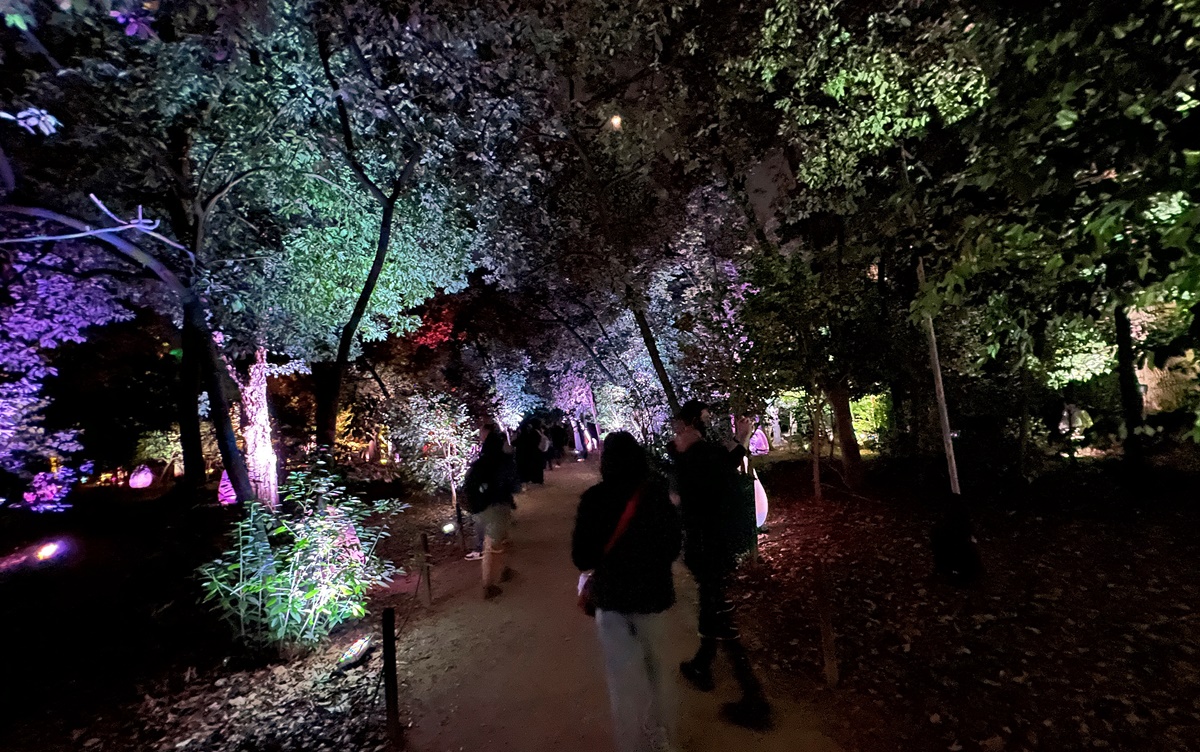 獻給喜歡與人互動的你，來一趟夜晚限定沉浸式藝術展覽，感受無聲之夜的能量鼓動｜大阪長居植物園夜間常設展 teamLab Botanical Garden Osaka @。CJ夫人。