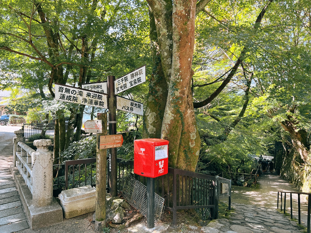 苔綠如絨，古意盎然。京都比叡山深處的三千院，盡是被苔庭和童地藏石像包圍的幸福感｜京都有料門票入場寺廟 三千院 @。CJ夫人。