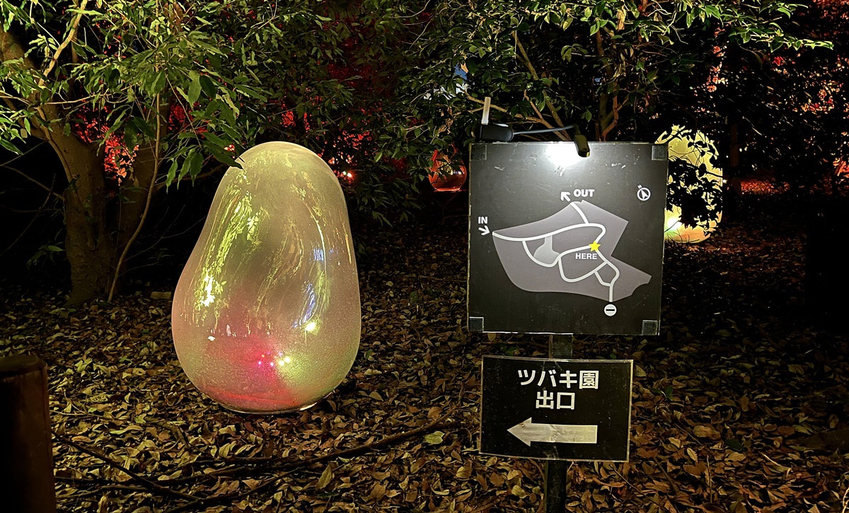 獻給喜歡與人互動的你，來一趟夜晚限定沉浸式藝術展覽，感受無聲之夜的能量鼓動｜大阪長居植物園夜間常設展 teamLab Botanical Garden Osaka @。CJ夫人。
