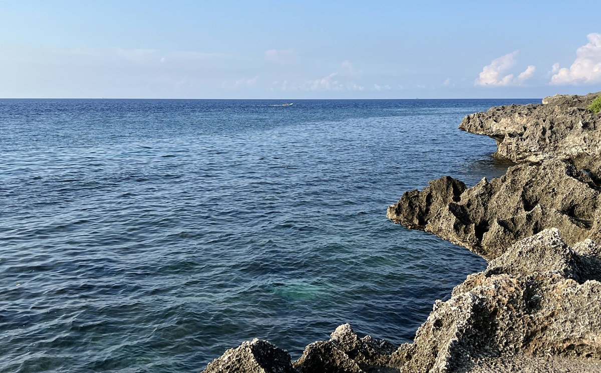 小琉球島嶼友善海洋與海龜的一日旅行！騎上電動自行車展開小琉球環島公路旅行，成為一位隨走隨停的低碳旅行者！ @。CJ夫人。