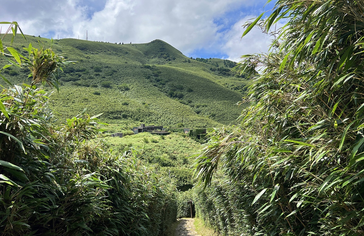 台灣島嶼的森林縮影！一次感受不同海拔的山林、氣候與生態，花個下午漫步屬於台北人夏日約會私房地｜台北室內免費景點 台北典藏植物園 @。CJ夫人。