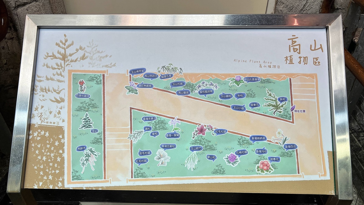 台灣島嶼的森林縮影！一次感受不同海拔的山林、氣候與生態，花個下午漫步屬於台北人夏日約會私房地｜台北室內免費景點 台北典藏植物園 @。CJ夫人。