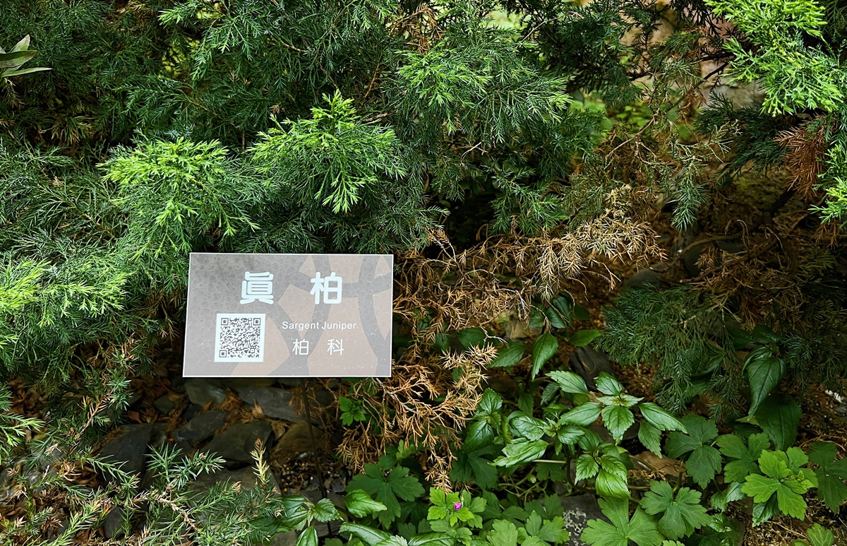 台灣島嶼的森林縮影！一次感受不同海拔的山林、氣候與生態，花個下午漫步屬於台北人夏日約會私房地｜台北室內免費景點 台北典藏植物園 @。CJ夫人。