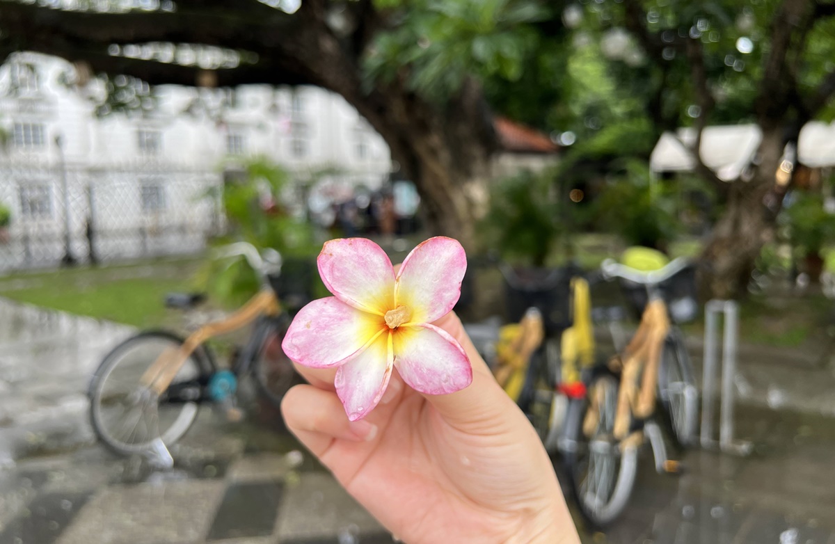 菲律賓馬尼拉西班牙王城區（Intramuros）自由行最值得推薦的導覽體驗！結合傳統工藝與綠色意識的竹製自行車之旅（Bambike Ecotours） @。CJ夫人。