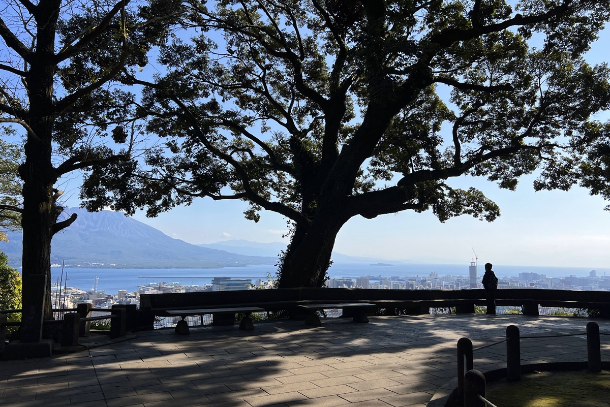 屬於九州鹿兒島的世界級景觀！享受櫻島活火山景觀的絕佳位置，就到鹿兒島城山公園櫻島展望台吧！ @。CJ夫人。