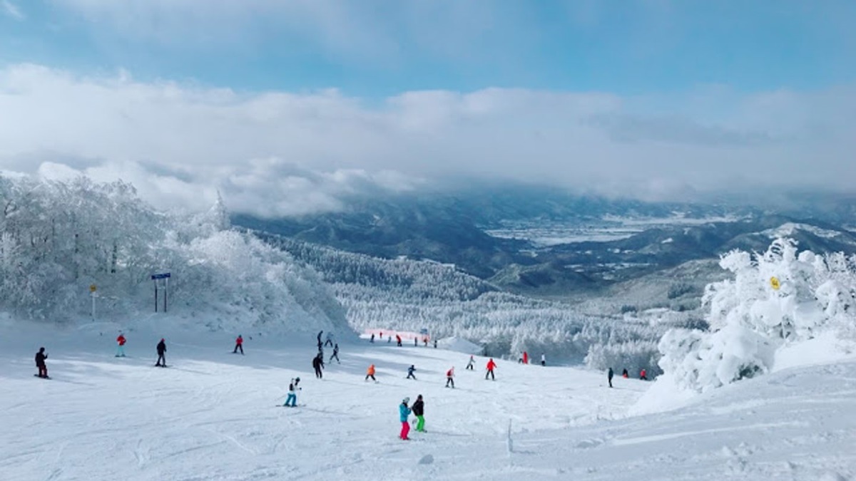 規畫一趟日本自助滑雪行程應該注意的事－滑雪行程規劃技巧篇 @。CJ夫人。