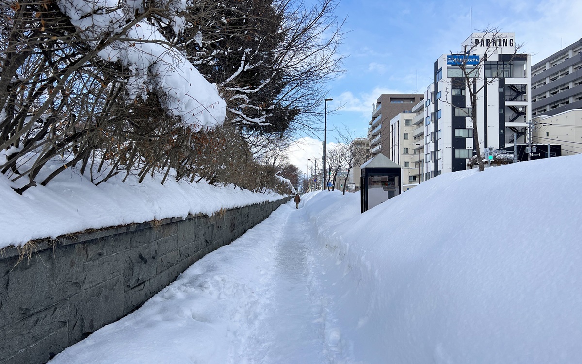 札幌咖啡的老派情調！氛圍懷舊又富有格調，旅行者也得到一種在此生活許久的感覺！札幌北海道大學旁的咖啡甜點店 石田珈琲店 Ishida Coffee @。CJ夫人。