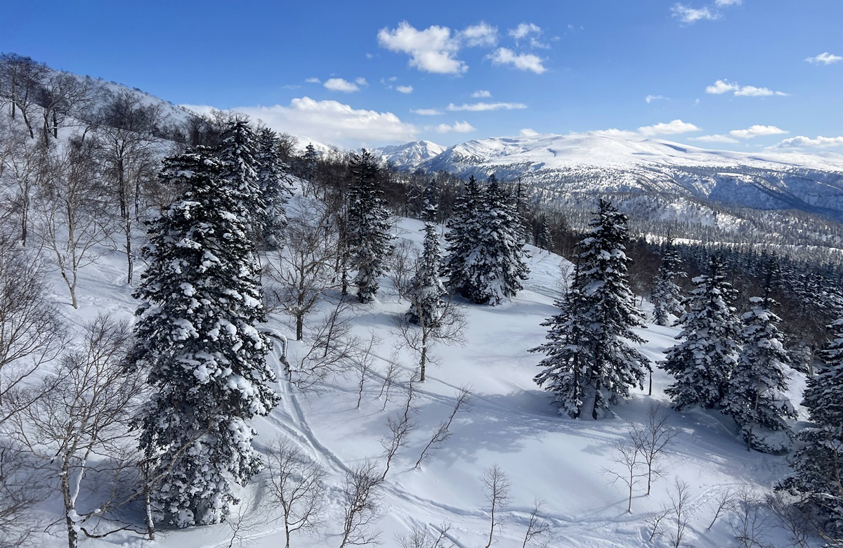 一步步接近北海道的最高點，正式邁入眾神遊樂園的大雪山國立公園｜北海道大雪山旭岳（Mt. Asahidake）、冬天雪地健行與大雪山旭岳纜車一日紀行 @。CJ夫人。