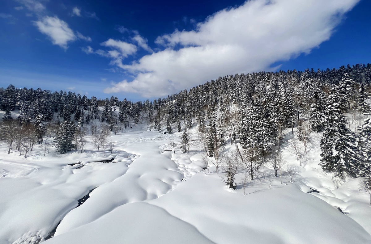 一步步接近北海道的最高點，正式邁入眾神遊樂園的大雪山國立公園｜北海道大雪山旭岳（Mt. Asahidake）、冬天雪地健行與大雪山旭岳纜車一日紀行 @。CJ夫人。