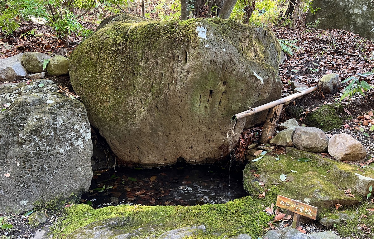 隱藏九州青山翠谷的露天大浴池，等待有緣人發掘的無邊際由布岳絕景！九州大分由布院 湯布院御三家山之飯店夢想園（山のホテル 夢想園）日歸溫泉記事 @。CJ夫人。