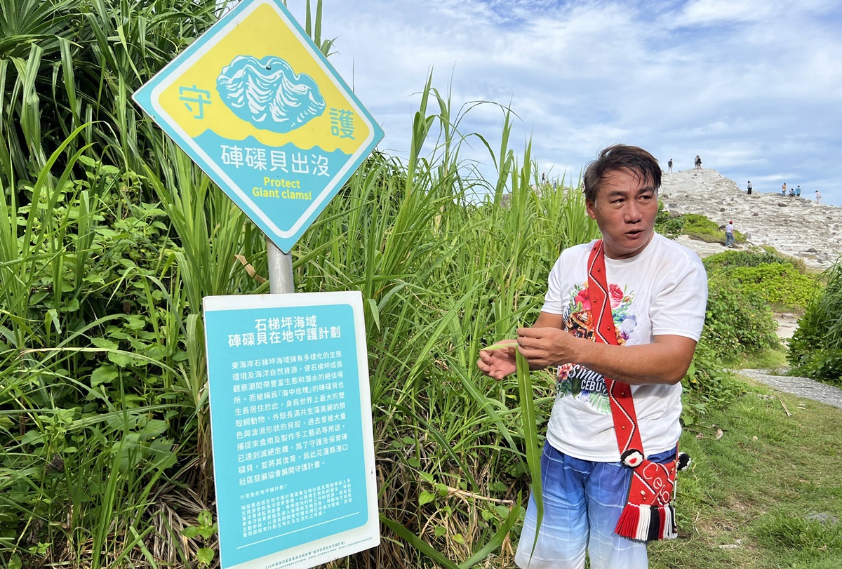 探索花蓮海岸線的全新視角！跟著豐濱人文繪本故事去旅行！2024森川里海藝術季推出部落二日、一日深度遊，五條主題路線報名中 @。CJ夫人。