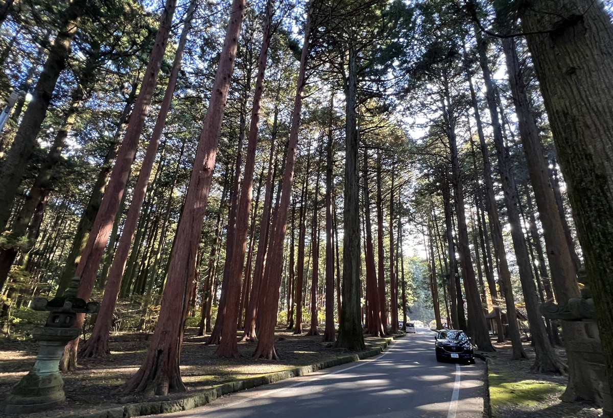 當自然與信仰連結在一起，富士山山麓下的千年森林與登山者祈福神社｜日本山梨縣富士吉田市 北口本宮富士淺間神社 @。CJ夫人。