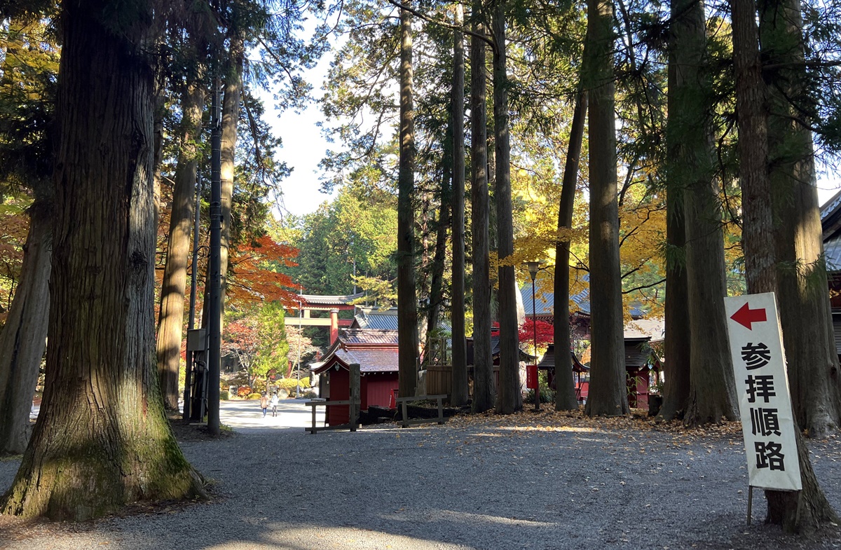 當自然與信仰連結在一起，富士山山麓下的千年森林與登山者祈福神社｜日本山梨縣富士吉田市 北口本宮富士淺間神社 @。CJ夫人。