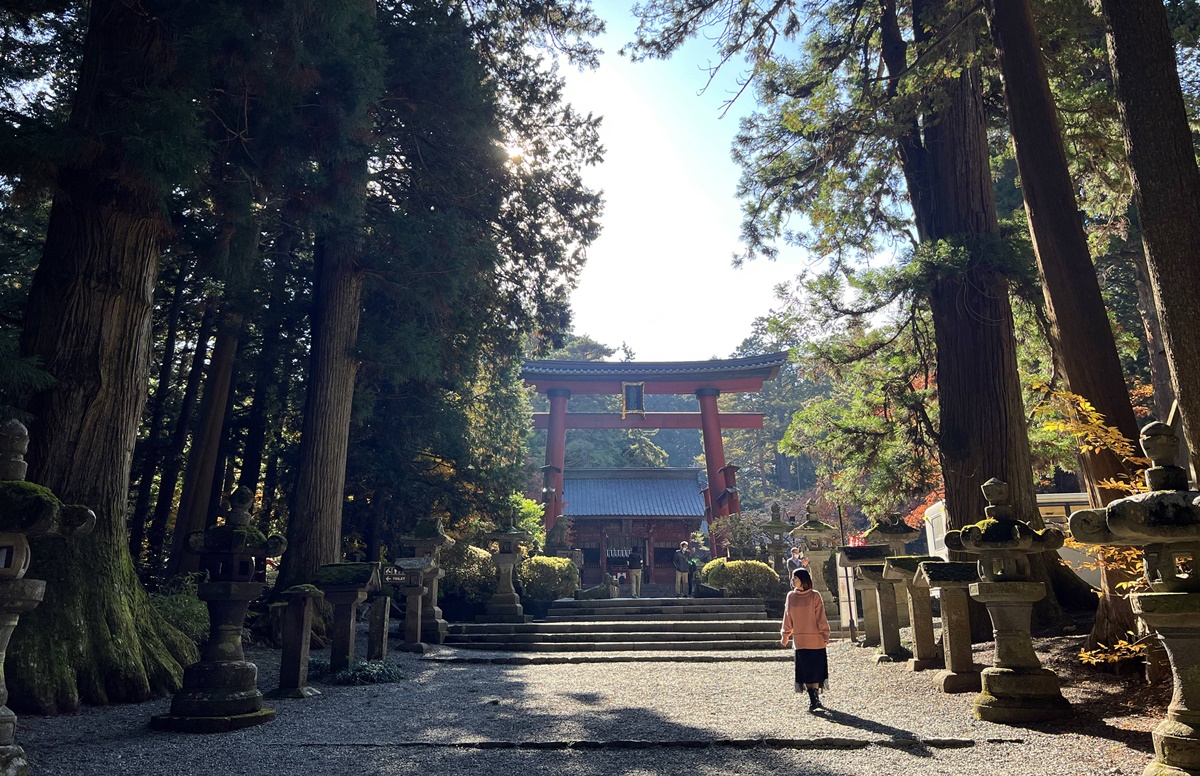 當自然與信仰連結在一起，富士山山麓下的千年森林與登山者祈福神社｜日本山梨縣富士吉田市 北口本宮富士淺間神社 @。CJ夫人。