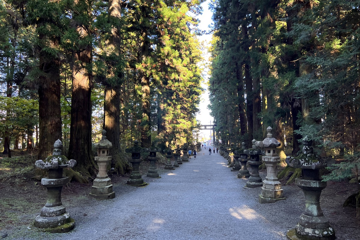 當自然與信仰連結在一起，富士山山麓下的千年森林與登山者祈福神社｜日本山梨縣富士吉田市 北口本宮富士淺間神社 @。CJ夫人。