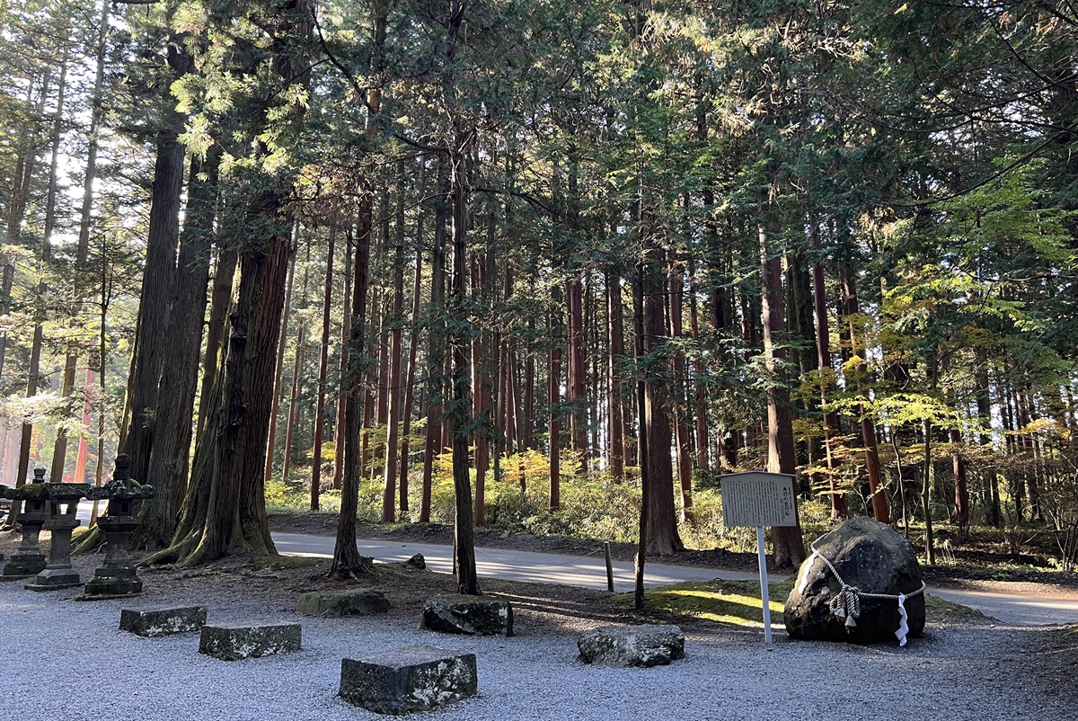 當自然與信仰連結在一起，富士山山麓下的千年森林與登山者祈福神社｜日本山梨縣富士吉田市 北口本宮富士淺間神社 @。CJ夫人。