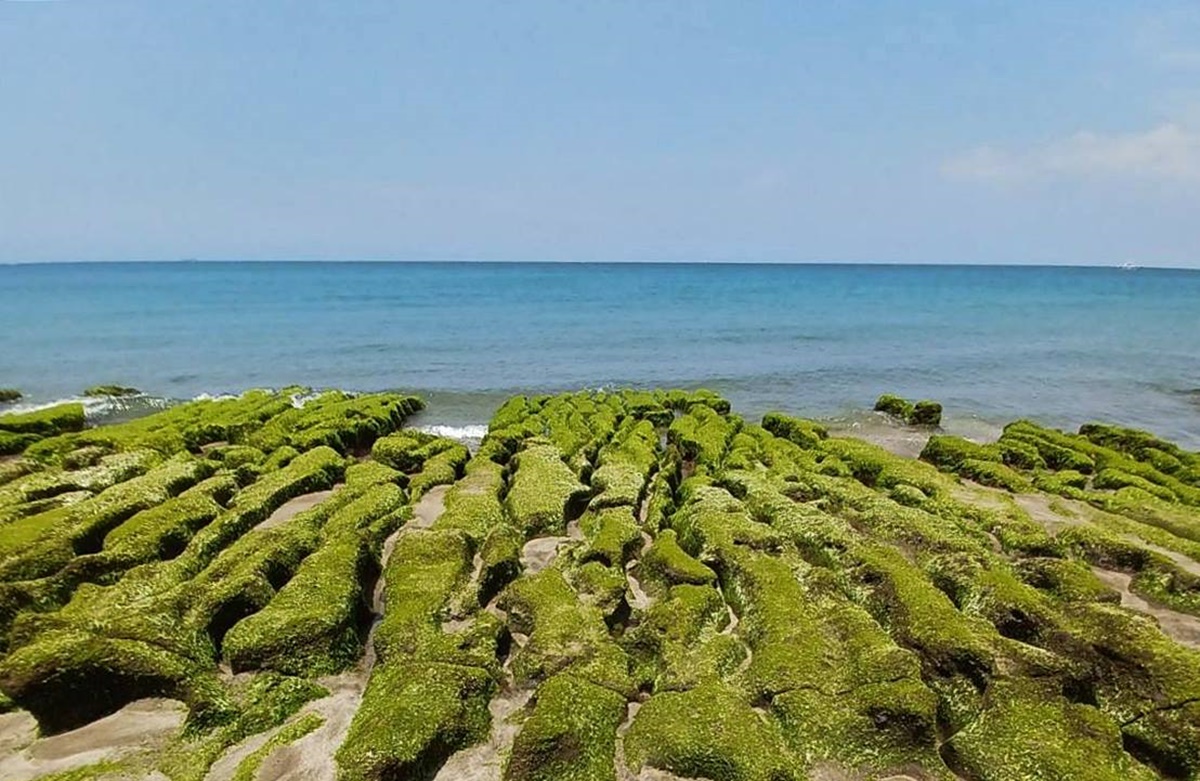 台灣極北朝聖去！長年守護北海岸海域的經典黑色條紋燈塔｜富貴角燈塔步道公園 @。CJ夫人。