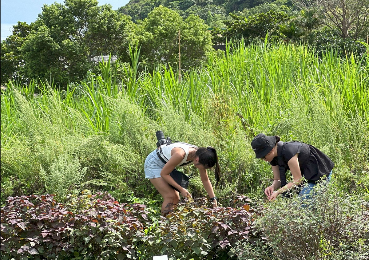 探索花蓮海岸線的全新視角！跟著豐濱人文繪本故事去旅行！2024森川里海藝術季推出部落二日、一日深度遊，五條主題路線報名中 @。CJ夫人。