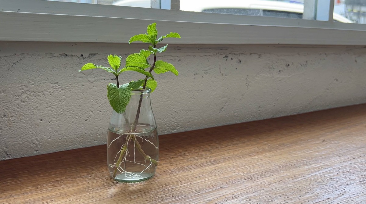 讓街角的一間咖啡館，重新點亮瀰漫生活氣息的平凡當下！花蓮咖啡、甜點、選物店｜soave plan 浮室 @。CJ夫人。