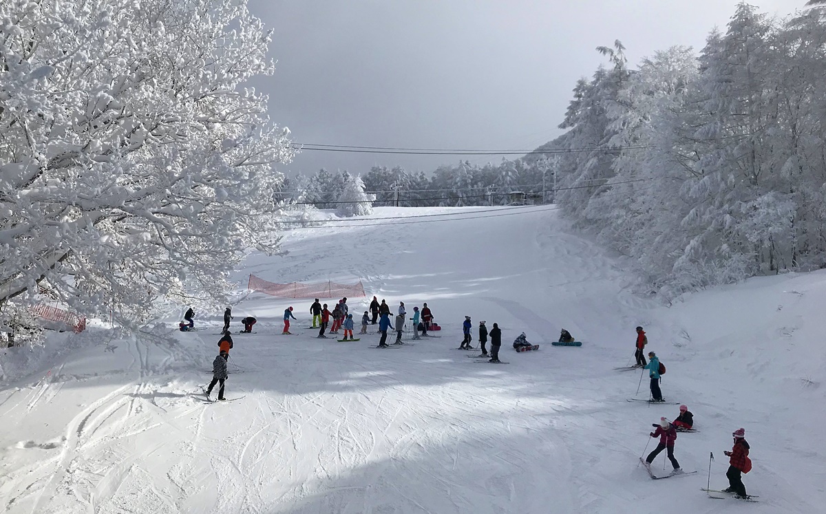 來自日本雪地旅行最真實的20個回憶，你一定也會體驗並且深深愛上的冬季雪樂趣！ @。CJ夫人。