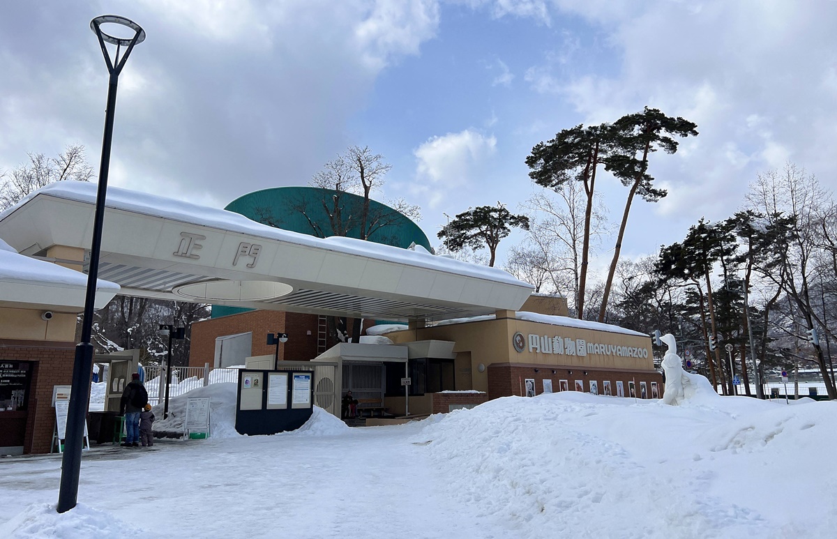 宛如踏入北海道野外森林的探險真實感！靜靜欣賞北極熊散步是冬遊札幌最美好的畫面｜北海道札幌市円山動物園 Maruyama Zoo @。CJ夫人。