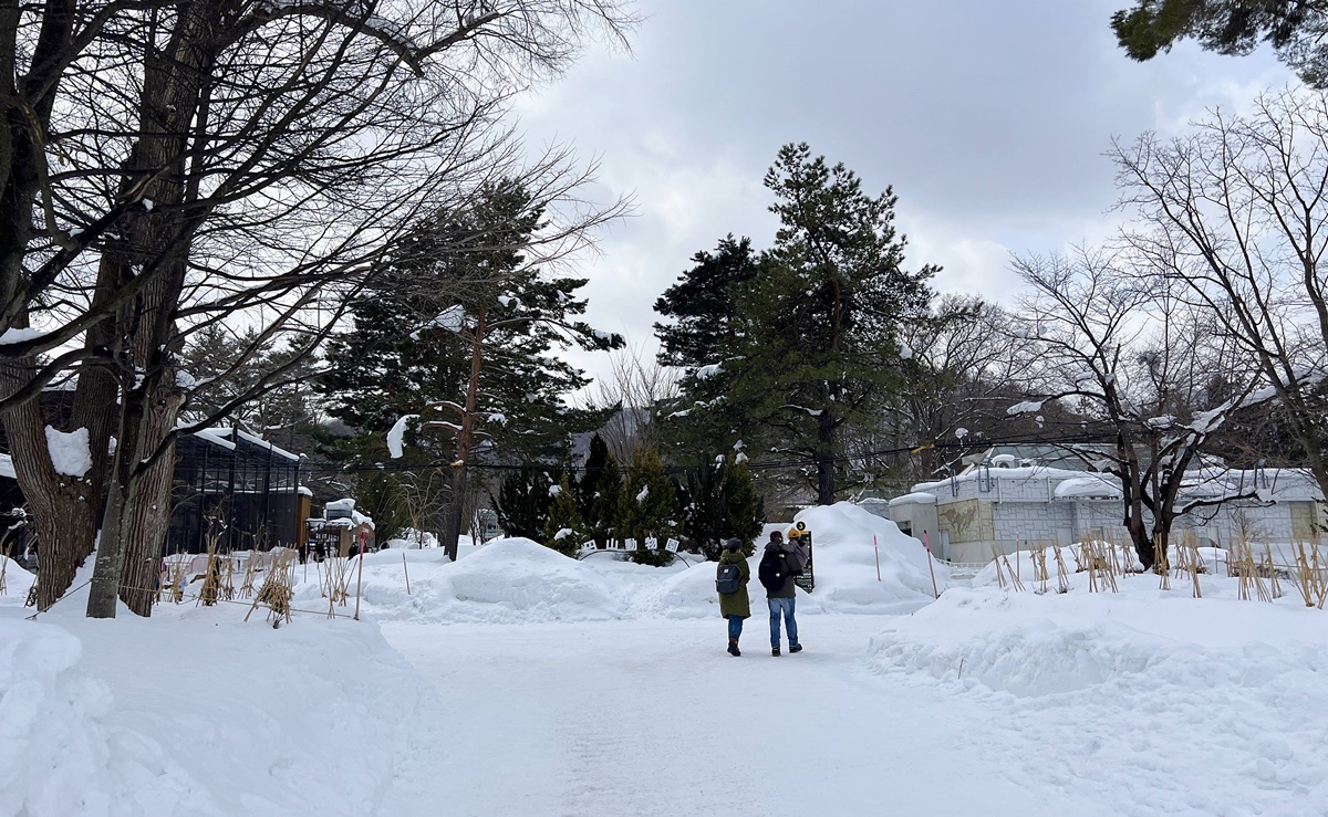 宛如踏入北海道野外森林的探險真實感！靜靜欣賞北極熊散步是冬遊札幌最美好的畫面｜北海道札幌市円山動物園 Maruyama Zoo @。CJ夫人。