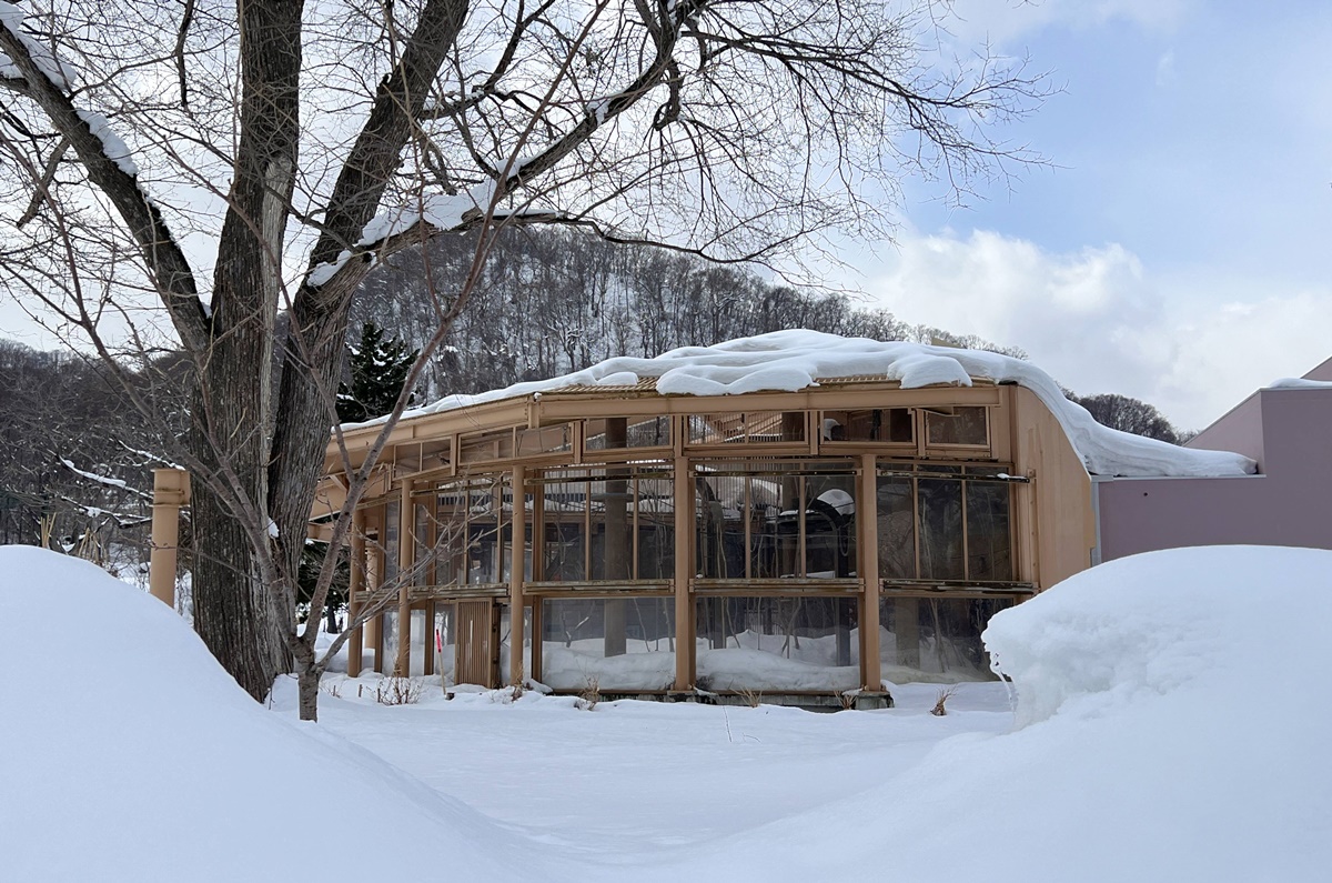 宛如踏入北海道野外森林的探險真實感！靜靜欣賞北極熊散步是冬遊札幌最美好的畫面｜北海道札幌市円山動物園 Maruyama Zoo @。CJ夫人。