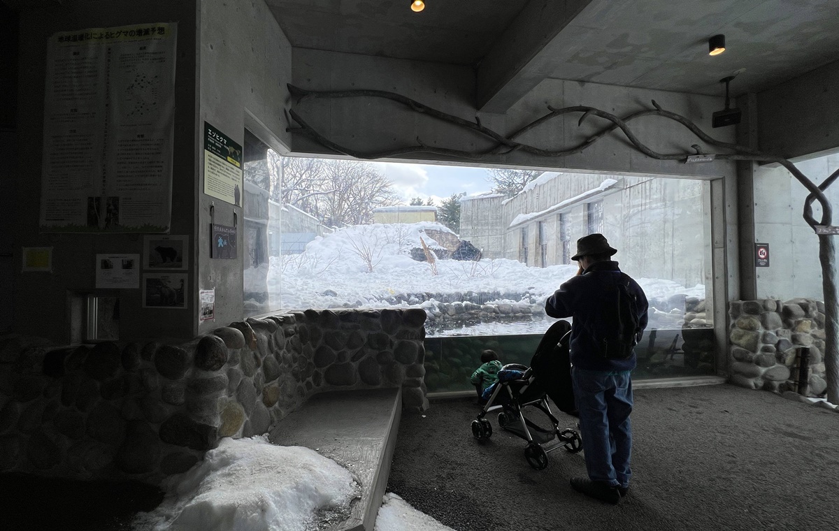 宛如踏入北海道野外森林的探險真實感！靜靜欣賞北極熊散步是冬遊札幌最美好的畫面｜北海道札幌市円山動物園 Maruyama Zoo @。CJ夫人。