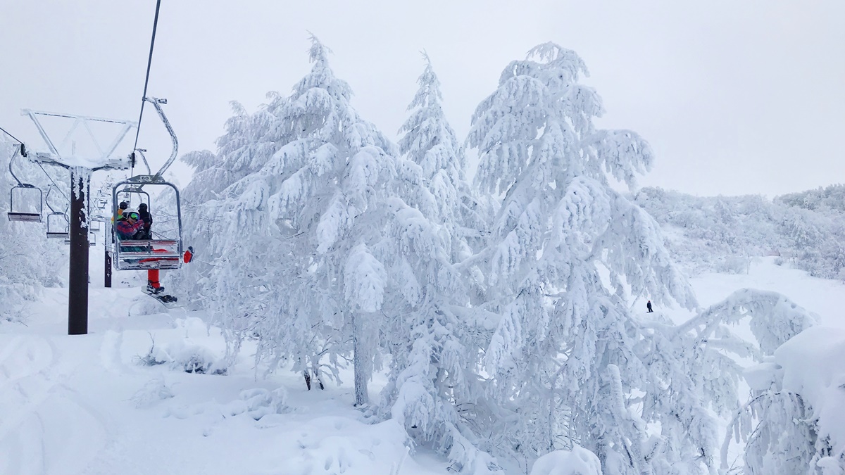 以木屋建築、壁爐、巨無霸牛排和雪地景觀交織而成的溫馨庇護所｜日本東北山形藏王滑雪場三五郎小屋，雪季期間，只能搭纜車與滑雪才能到唷！ @。CJ夫人。