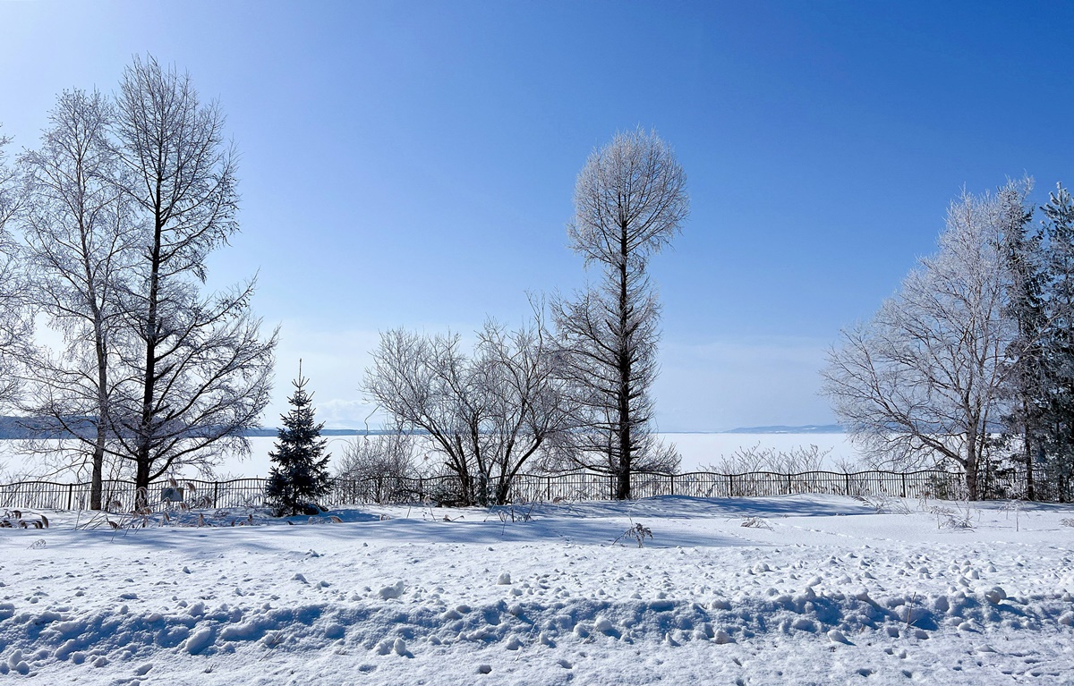 【特別宣傳】CJ夫人專為日本滑雪初學者設計的沉浸式冬雪旅行講座，愛上滑雪旅行，就從這裡開始！ @。CJ夫人。