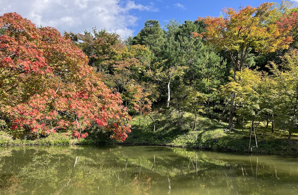 寄情於書畫與山水之間的幽靜佛寺，屬於豐臣秀吉夫人寧寧與豐臣秀吉愛的寺院｜京都東山區高台寺 @。CJ夫人。