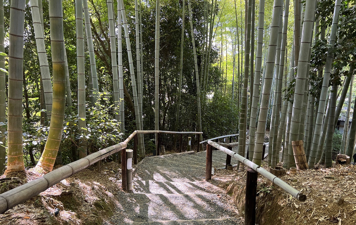 寄情於書畫與山水之間的幽靜佛寺，屬於豐臣秀吉夫人寧寧與豐臣秀吉愛的寺院｜京都東山區高台寺 @。CJ夫人。