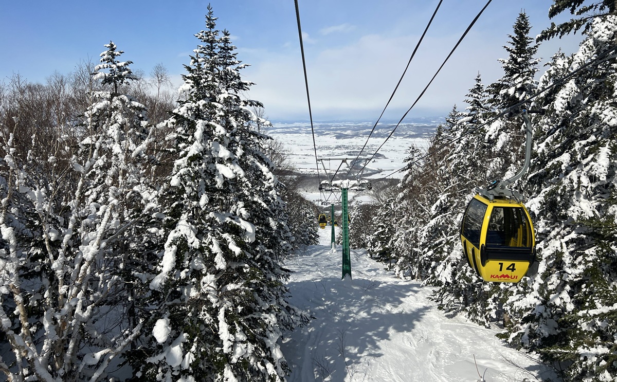 日本北海道旭川神居滑雪場（Kamui Ski Links）自助滑雪攻略！北海道自助滑雪者的必推聖地，長距離、連續彎道、未壓雪樹林區你都找得到！ @。CJ夫人。