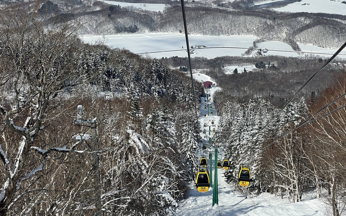 日本北海道旭川神居滑雪場（Kamui Ski Links）自助滑雪攻略！北海道自助滑雪者的必推聖地，長距離、連續彎道、未壓雪樹林區你都找得到！ @。CJ夫人。