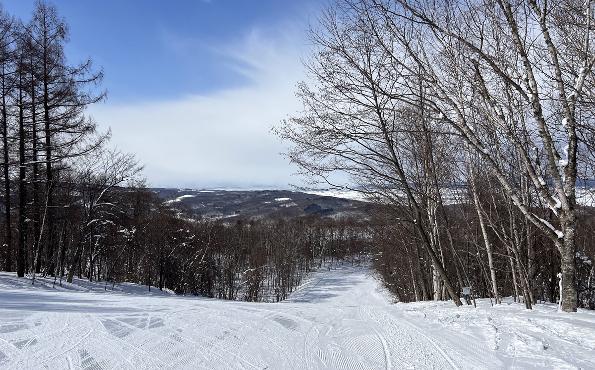 日本北海道旭川神居滑雪場（Kamui Ski Links）自助滑雪攻略！北海道自助滑雪者的必推聖地，長距離、連續彎道、未壓雪樹林區你都找得到！ @。CJ夫人。