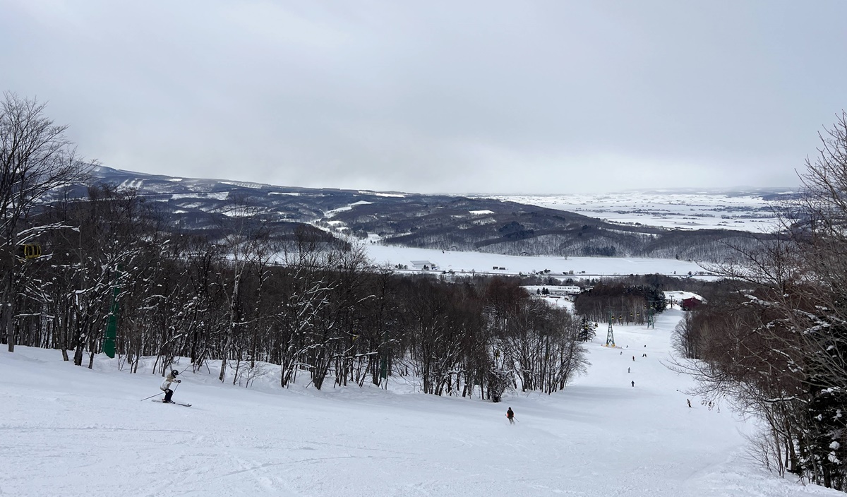 日本北海道旭川神居滑雪場（Kamui Ski Links）自助滑雪攻略！北海道自助滑雪者的必推聖地，長距離、連續彎道、未壓雪樹林區你都找得到！ @。CJ夫人。