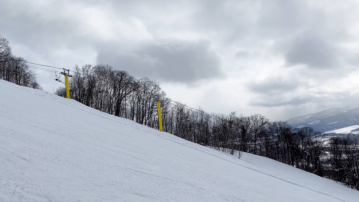 日本北海道旭川神居滑雪場（Kamui Ski Links）自助滑雪攻略！北海道自助滑雪者的必推聖地，長距離、連續彎道、未壓雪樹林區你都找得到！ @。CJ夫人。