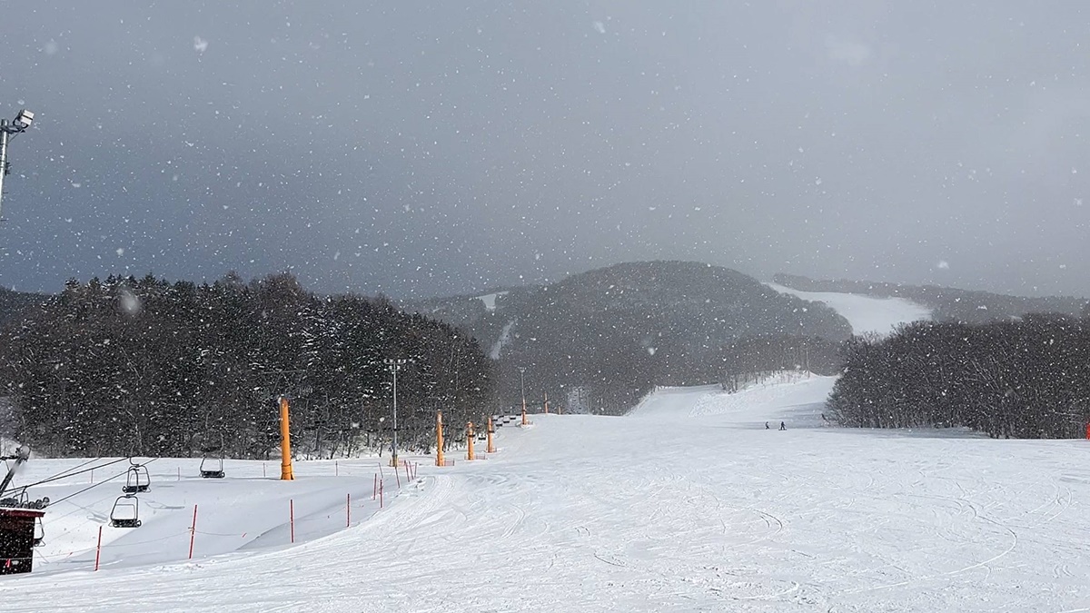 日本北海道旭川神居滑雪場（Kamui Ski Links）自助滑雪攻略！北海道自助滑雪者的必推聖地，長距離、連續彎道、未壓雪樹林區你都找得到！ @。CJ夫人。